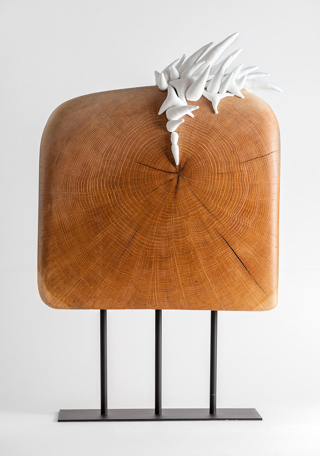 Olga Radionova Abstract Sculpture - Tree of Life. Sculpture. Recycled Antique Oak Wood with Textile elements