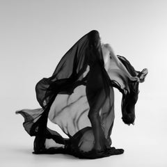 Photographie "Aerial 3" 24" x 24" pouces Edition de 15 par Olha Stepanian