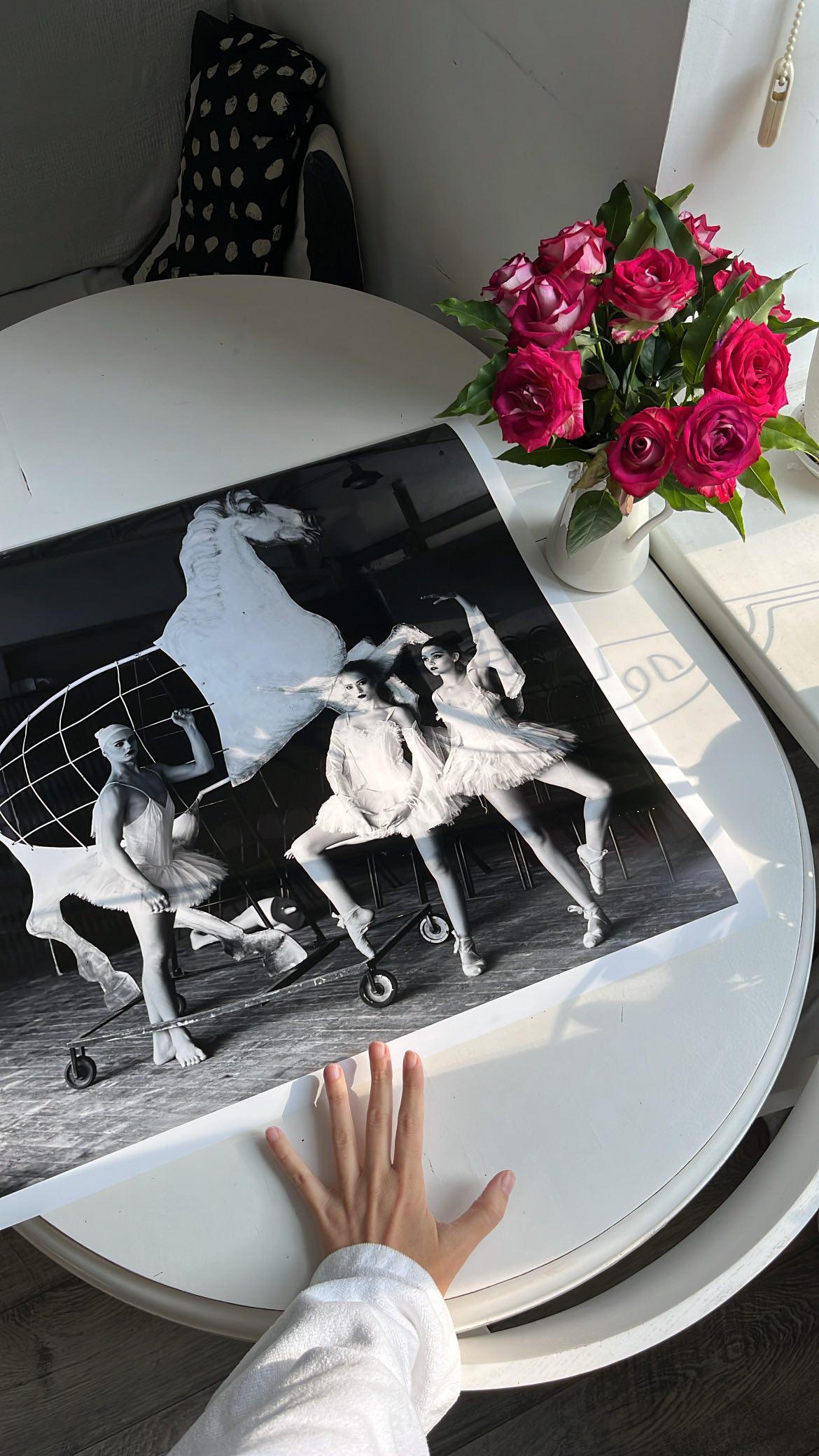 „Ballet“ Fotografie 16
