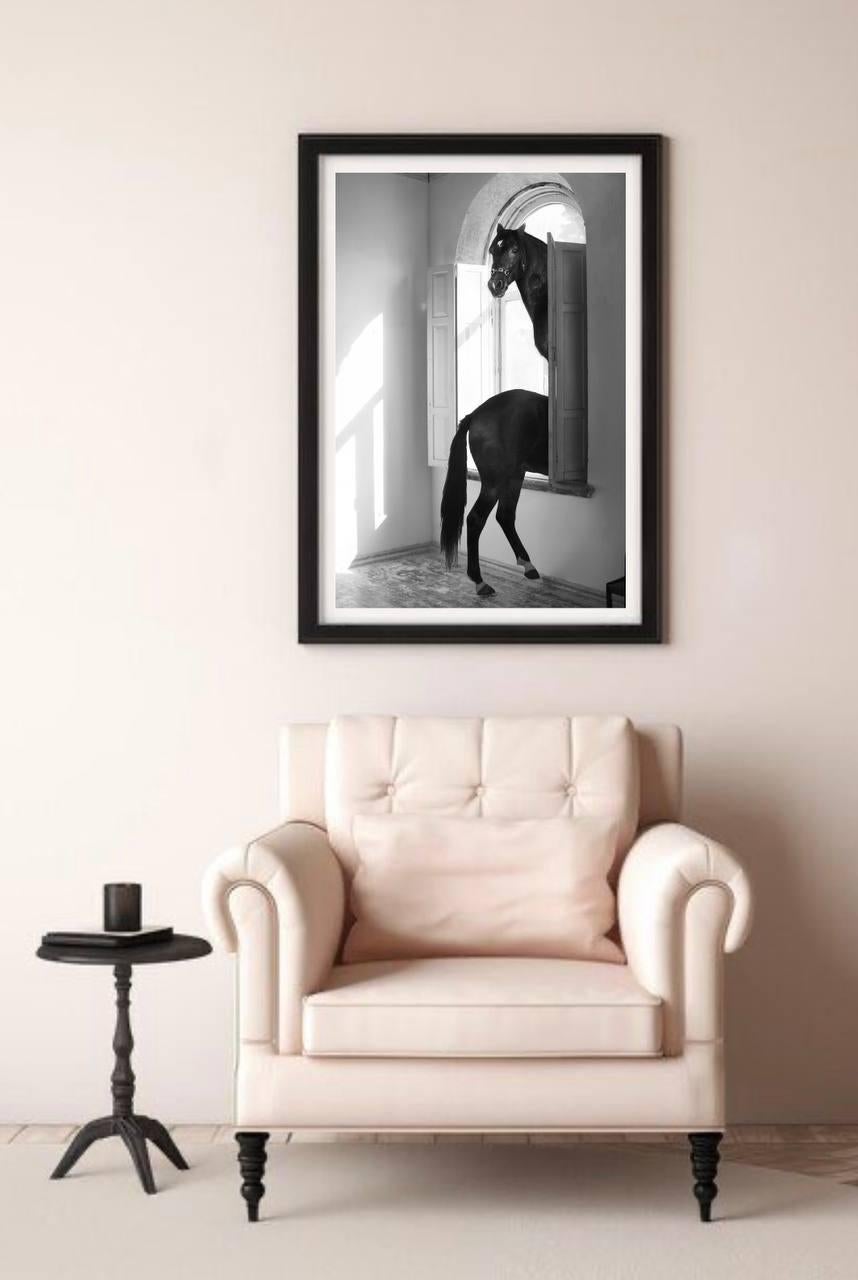 „Echoes of Return“ Fotografie 41