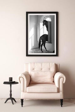 "Echoes of Return" Fotografia 41" x 28" in edizione 1/3 di Olha Stepanian