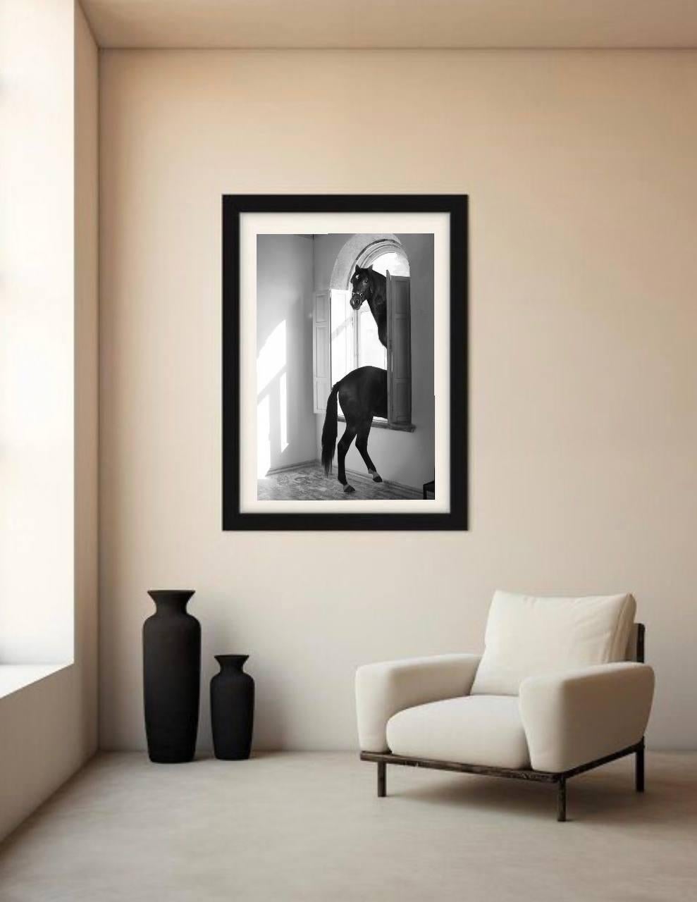 „Echoes of Return“ Fotografie 41