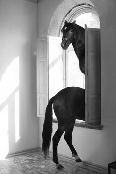 "Echoes of Return" Photography 41" x 28" in Edition 1/3 by Olha Stepanian