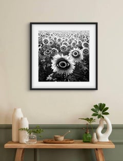 "Eclipsed Visions" Figurative Photography 31" x 31" in Ed 1/7 by Olha Stepanian