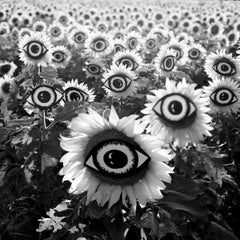 "Visiones Eclipsadas" Fotografía Figurativa 39" x 39" en Ed. 1/3 de Olha Stepanian