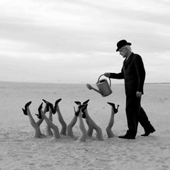 "In the Garden" Photography 39" x 39" inch Edition 2/3 by Olha Stepanian