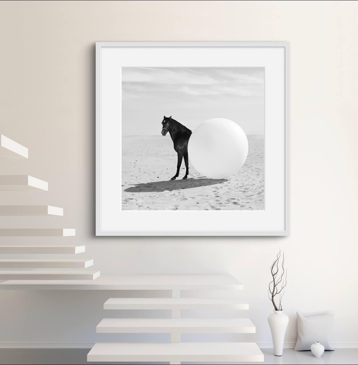„Round Horse“ Fotografie 31