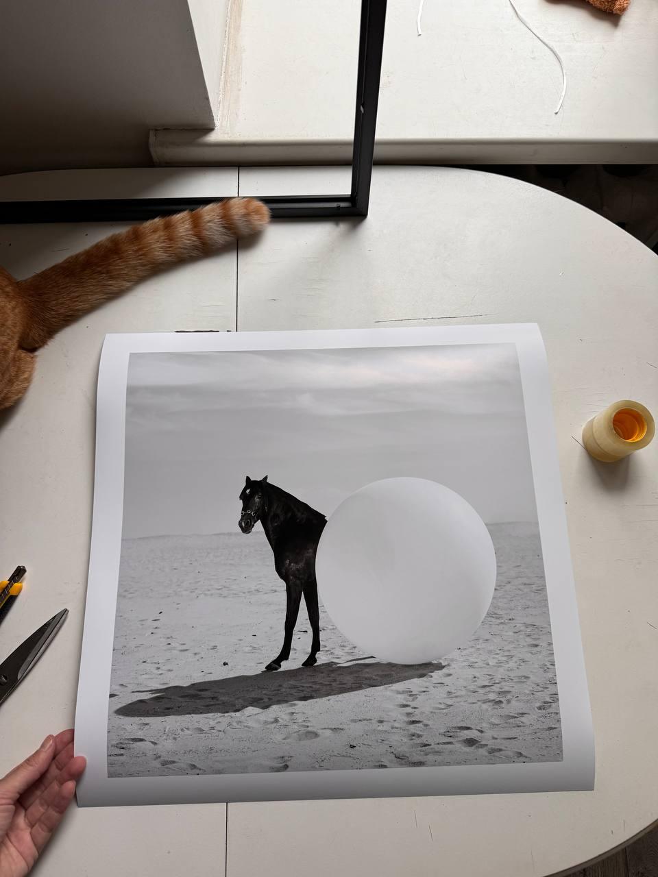 „Round Horse“ Fotografie 31
