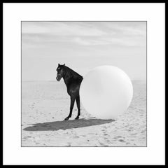 Fotografia "Round Horse" 39" x 39" in edizione 1/3 di Olha Stepanian