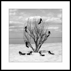 "Spring" Black & White Photograph 31" x 31" in Signed Ed. of 3 by Olha Stepanian