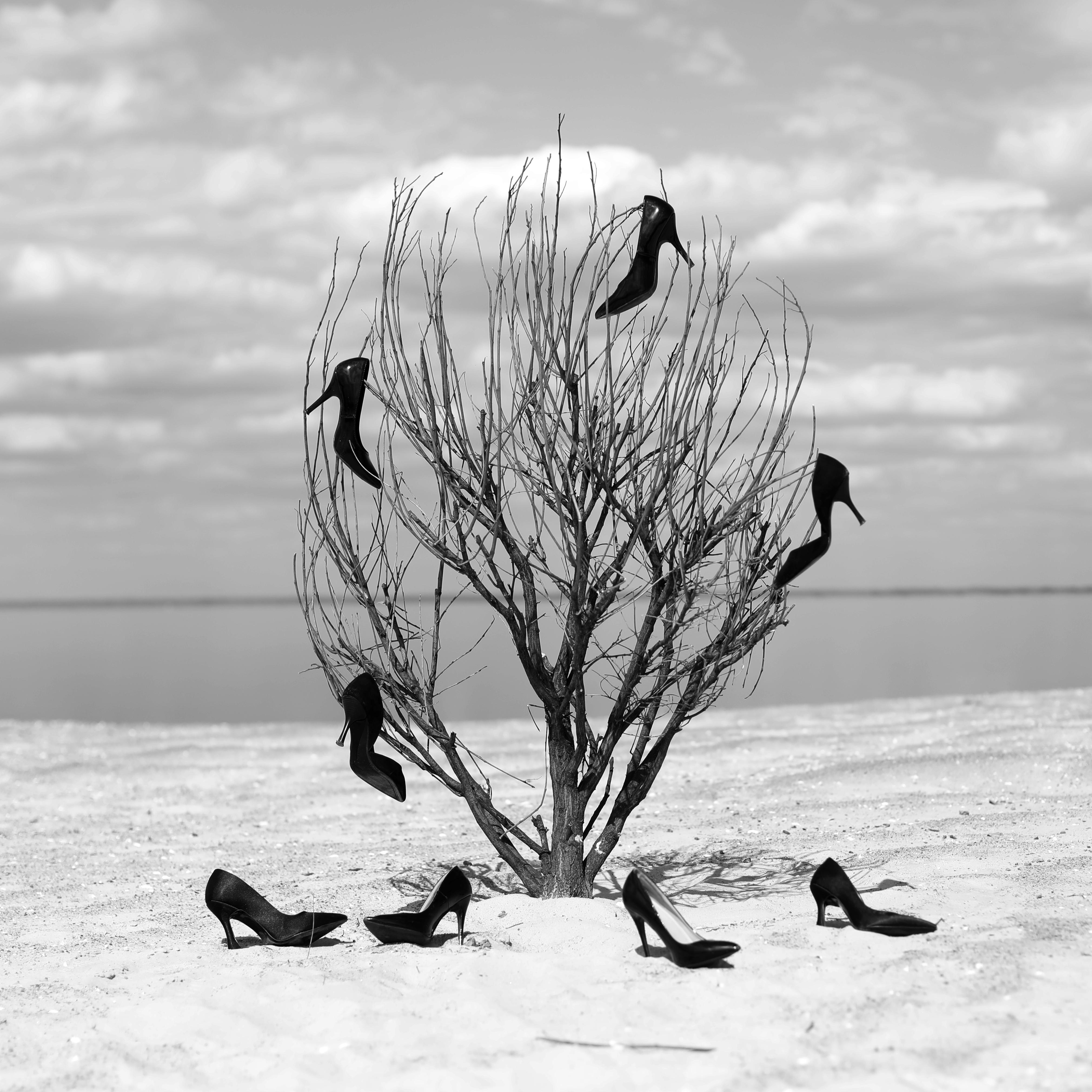 "Spring" Black &amp; White Photography 31" x 31" in Edition of 7 by Olha Stepanian

Printed on Epson Professional Paper 
Signed and numbered by the artist   
Comes with COA issued by the artist
Not framed. Ships in a tube.    

Available