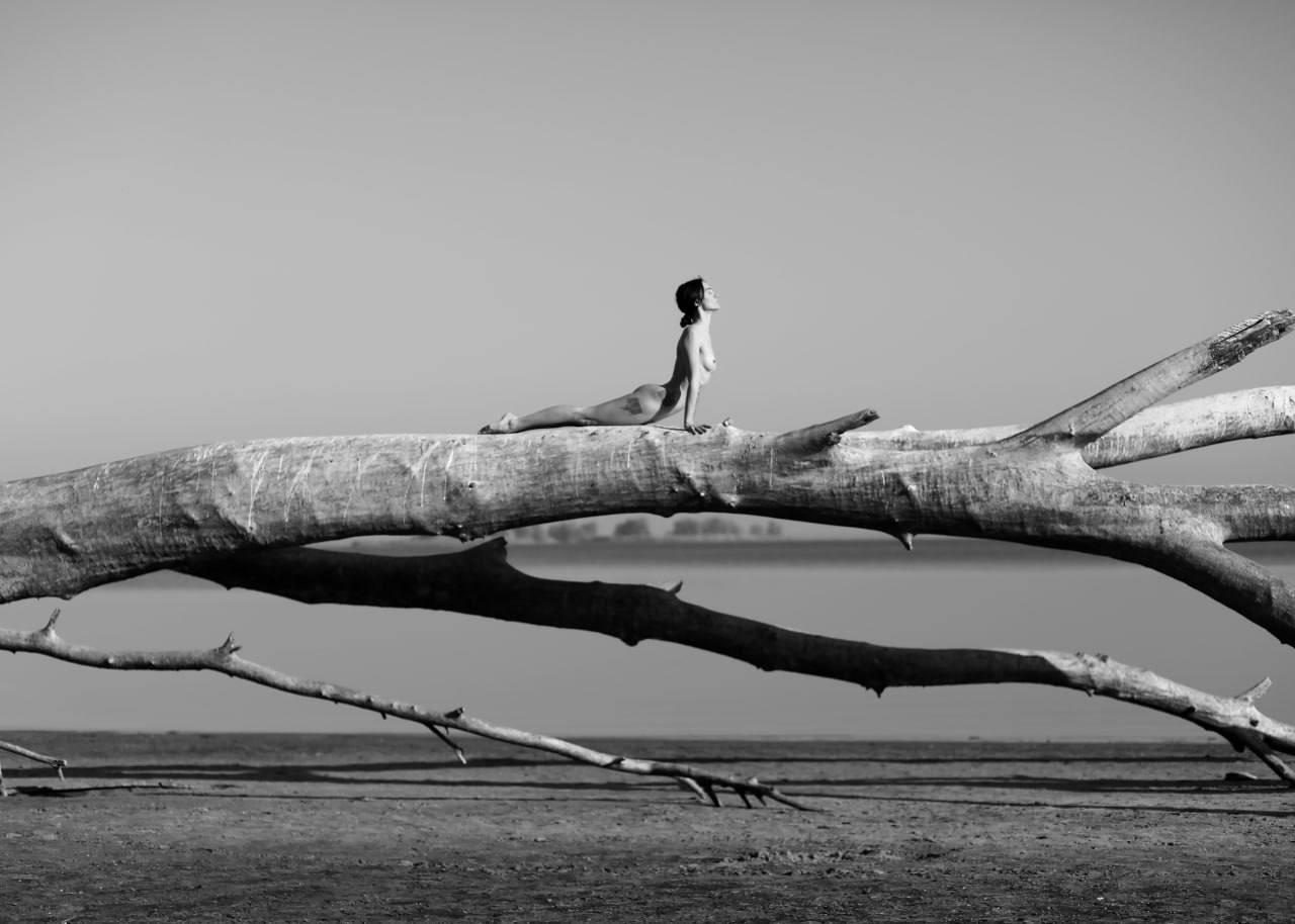 "Twig 2" B&W Photograph 20" x 27.5" in Limited Edition 1/15 by Olha Stepanian