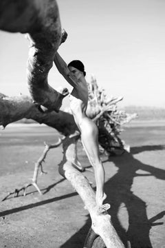 "Twig 3" Fotografia 35" x 24" pollici Edizione 1/17 di Olha Stepanian