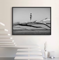 "Zweig" Fotografie 20" x 27,5" Zoll Edition 1/15 von Olha Stepanian
