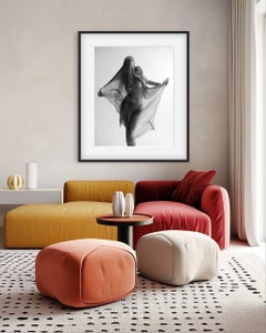 "Wet Stone" Fotografia in bianco e nero 39" x 31" in Ed. 1/7 di Olha Stepanian