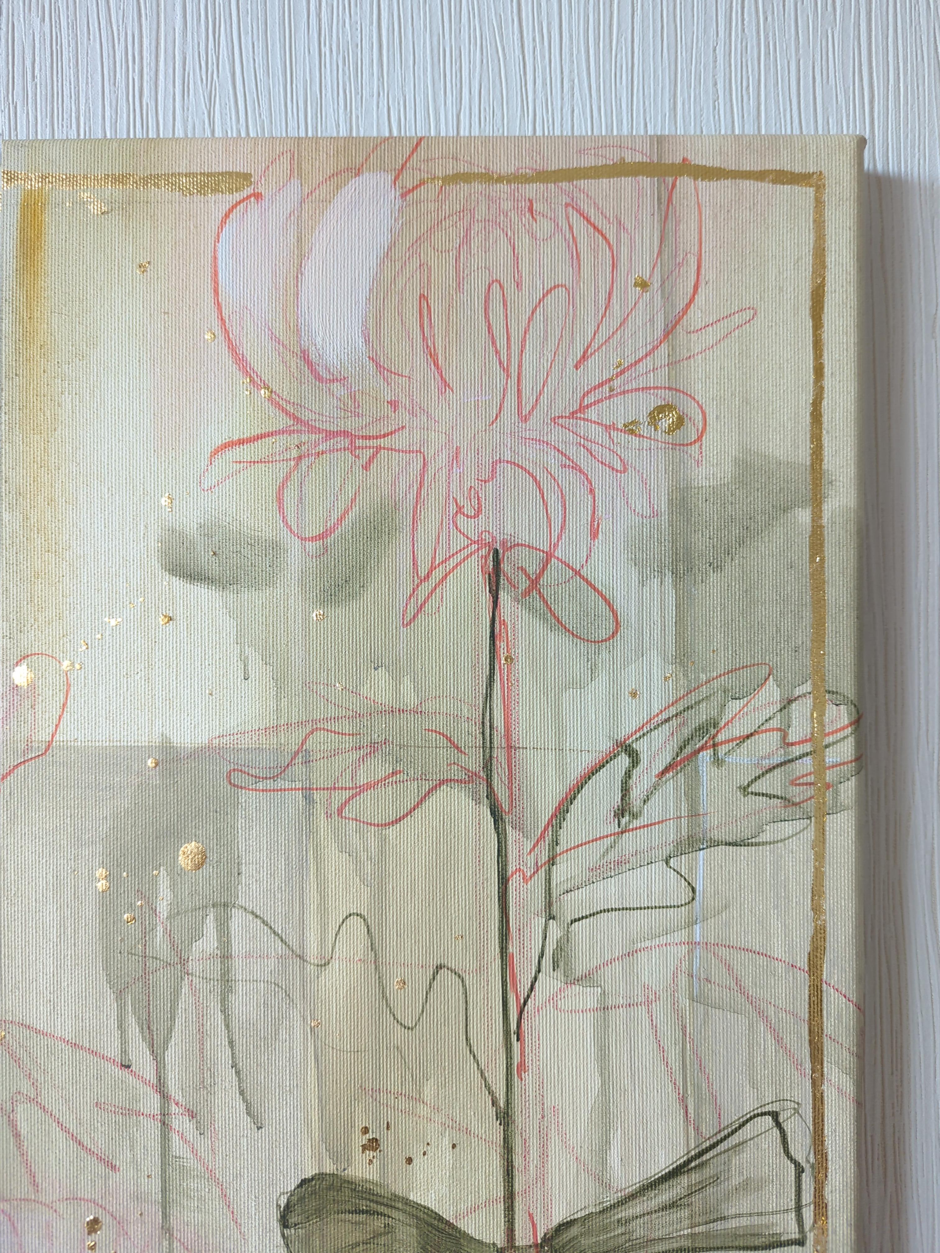 Chrysanthemums For Sale 9