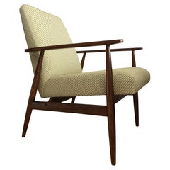 Vintage Olive Armchair by Henryk Lis, Europe, 1960s