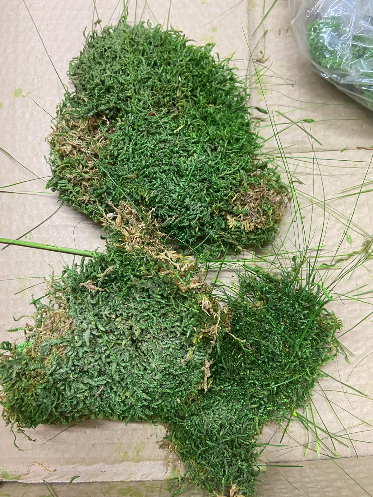 XXIe siècle et contemporain Table en résine époxy Olive Forest en vente