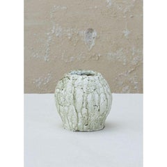 Olive Umber, Small by Daniele Giannetti
