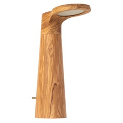 Lampe de Studio en Bois d'olivier, Isato Prugger