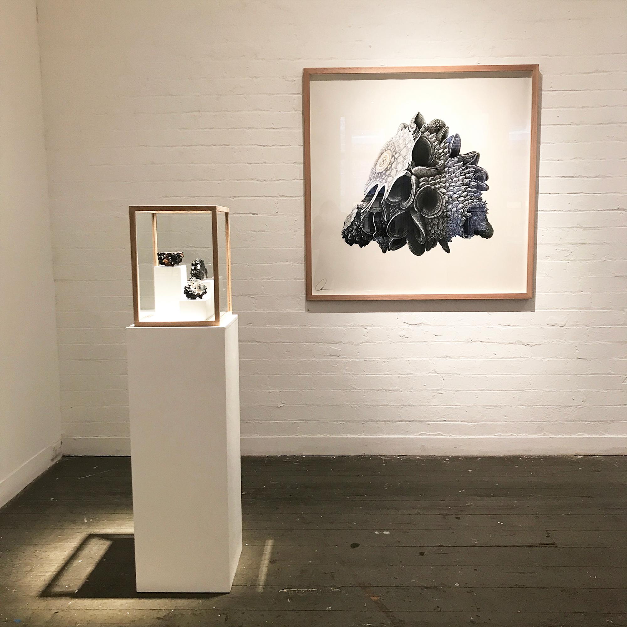 Augmented Meteorite I von Oliver Ashworth-Martin - Pastellzeichnung, Natur, Pflanze im Angebot 1