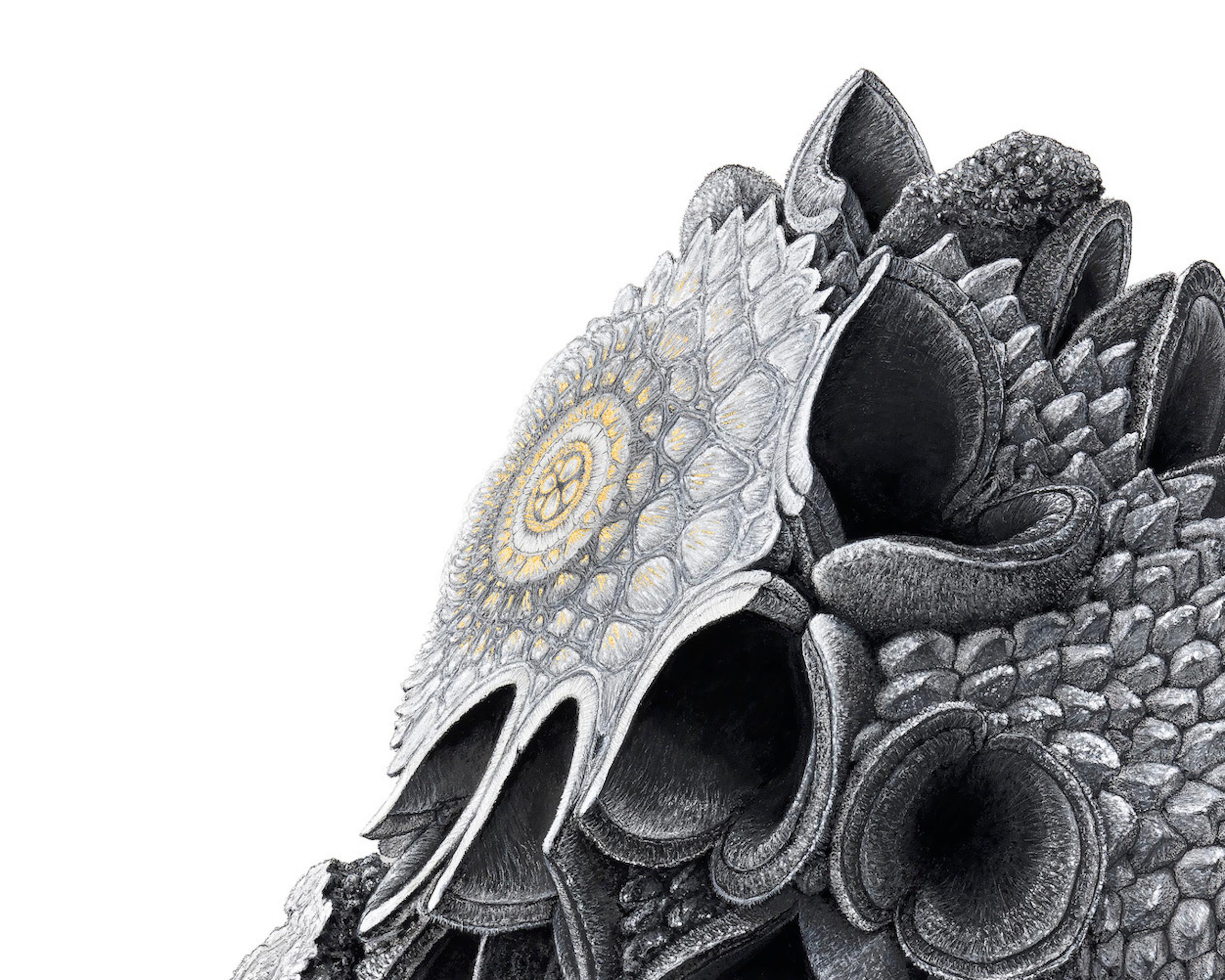 Augmented Meteorite I von Oliver Ashworth-Martin - Pastellzeichnung, Natur, Pflanze im Angebot 2