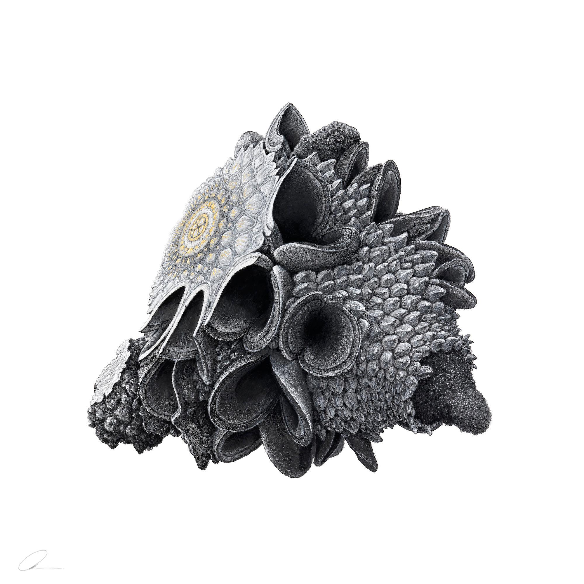 Augmented Meteorite I è un disegno unico a pastello, foglia d'oro 23k e carta di cotone dello scultore inglese contemporaneo Oak Martine. Le dimensioni, compresa la cornice di quercia, sono di 120 × 120 cm (47,2 × 47,2").
Questo disegno è firmato
