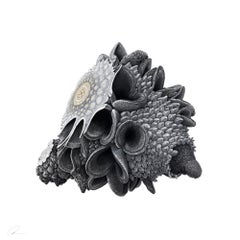 Le Meteorite I augmenté d'Oliver Ashworth-Martin - dessin au pastel, nature, plante
