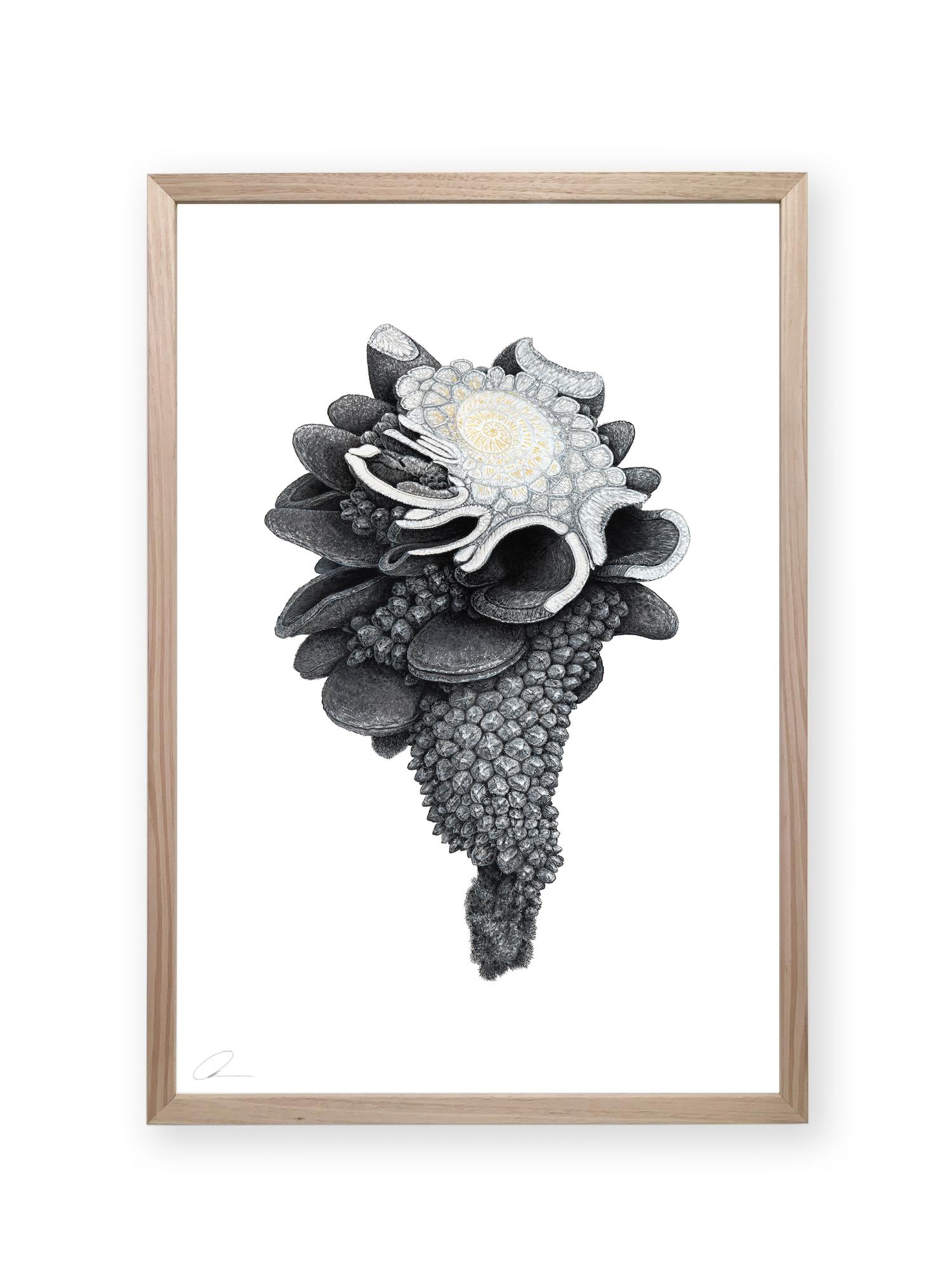 Augmented Meteorite II by Oliver Ashworth-Martin - Pastel drawing, nature, plant For Sale 2