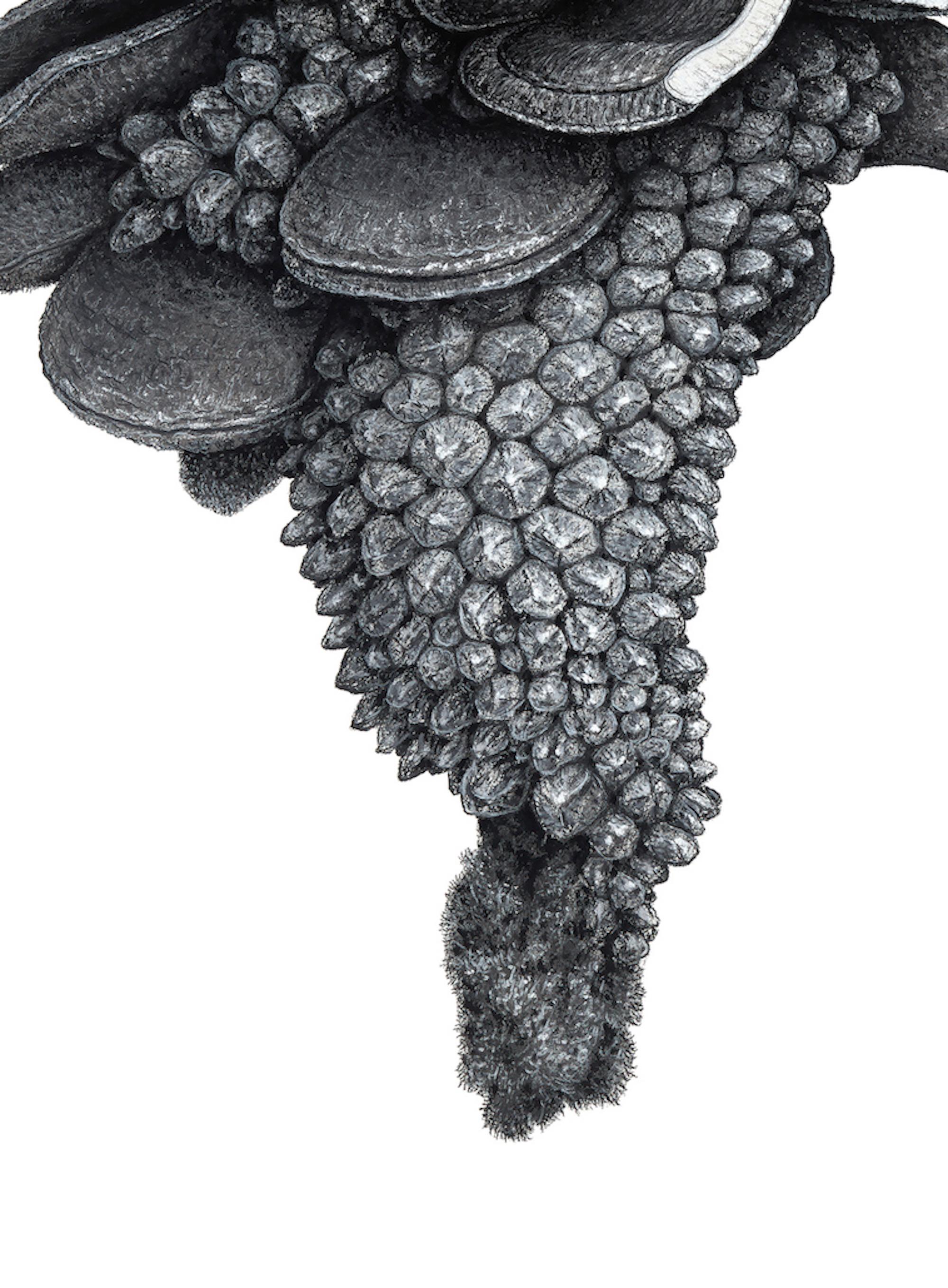 Augmented Meteorite II von Oliver Ashworth-Martin - Pastellzeichnung, Natur, Pflanze im Angebot 3