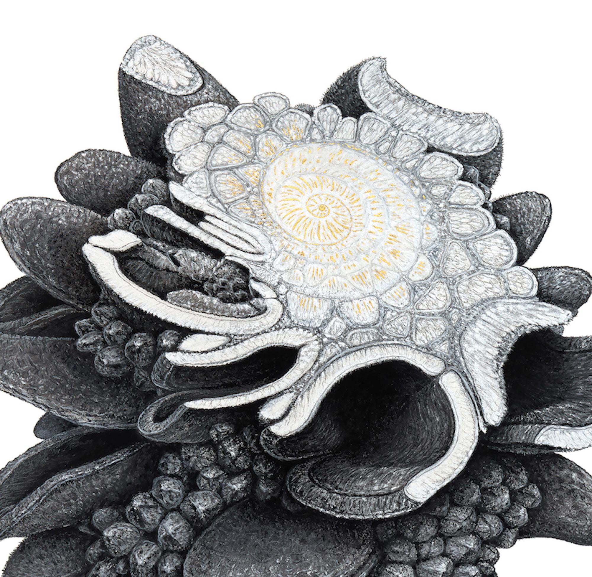 Augmented Meteorite II by Oliver Ashworth-Martin - Pastel drawing, nature, plant For Sale 3