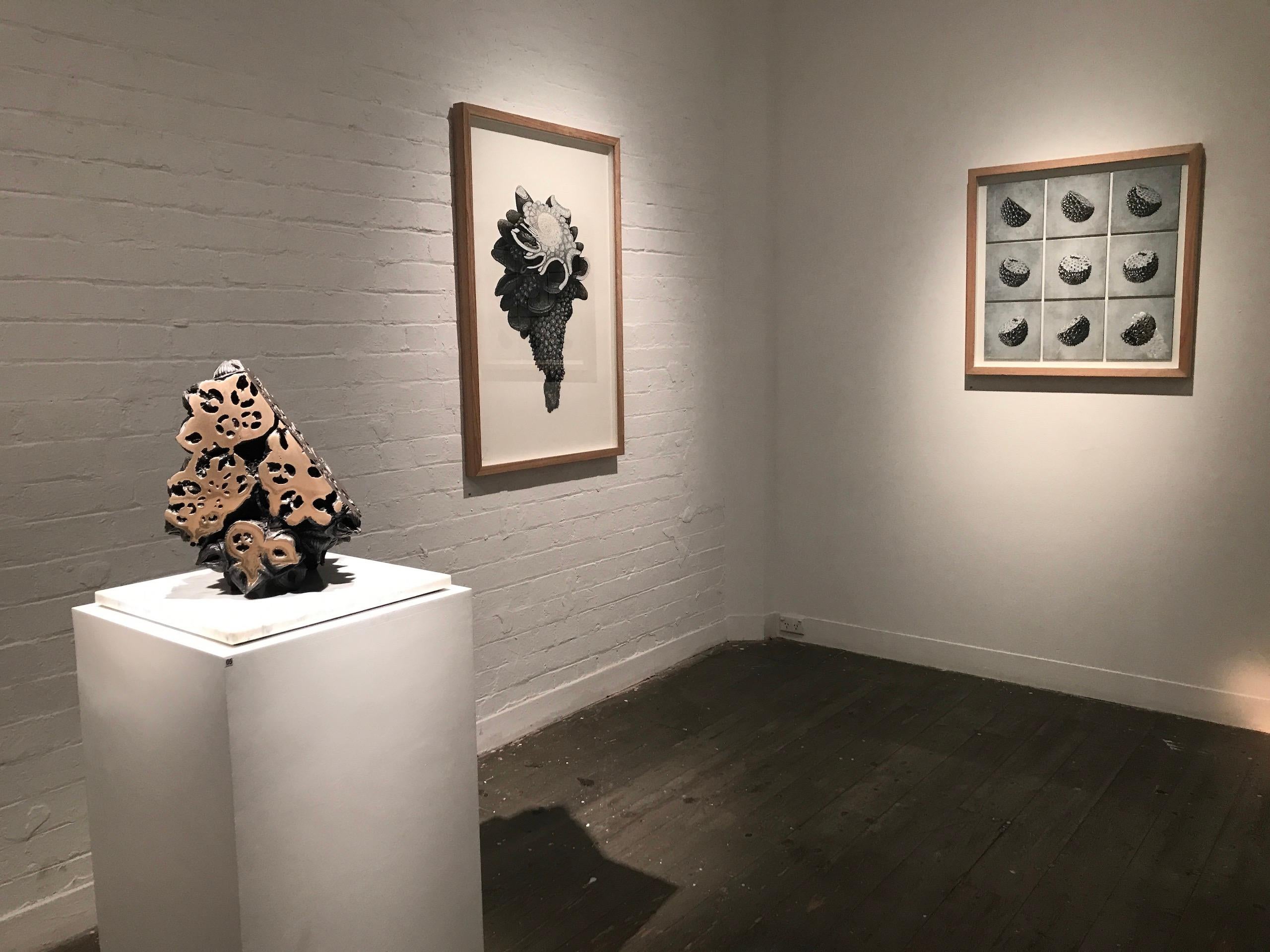 Augmented Meteorite II by Oliver Ashworth-Martin - Pastel drawing, nature, plant For Sale 5