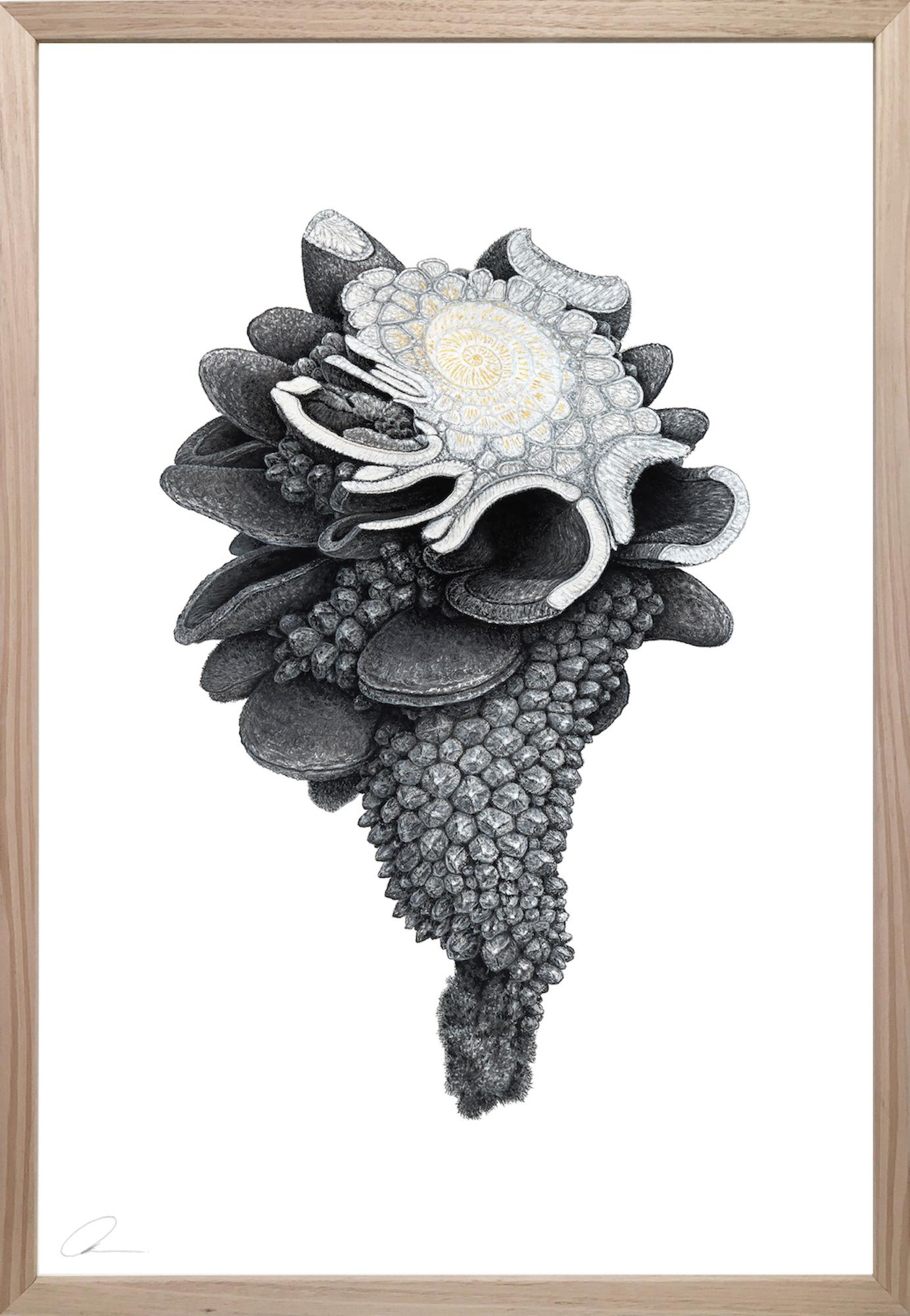 Augmented Meteorite II von Oliver Ashworth-Martin - Pastellzeichnung, Natur, Pflanze