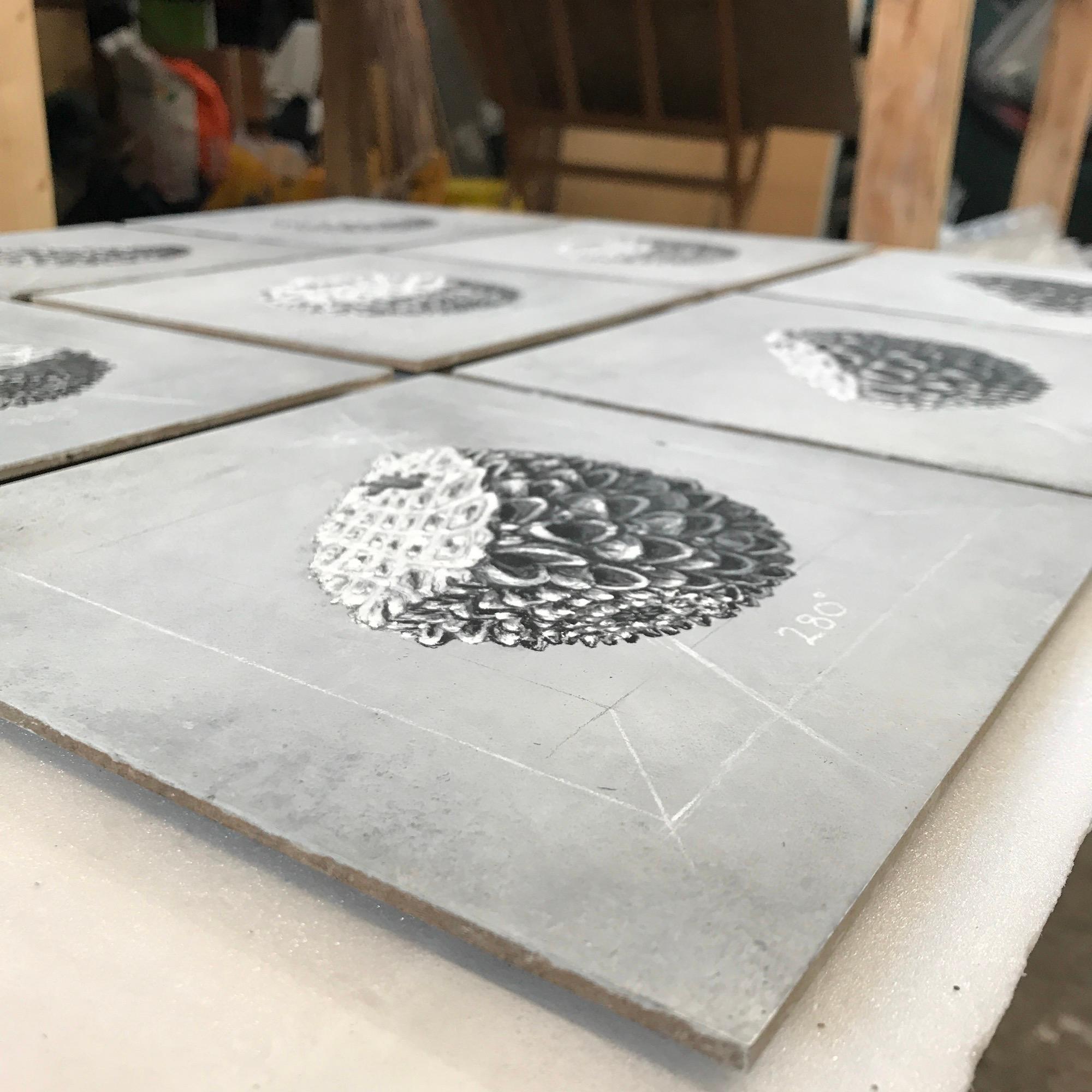 Les phases d'Oliver Ashworth-Martin - dessin au pastel, nature, plante, enquête en vente 2