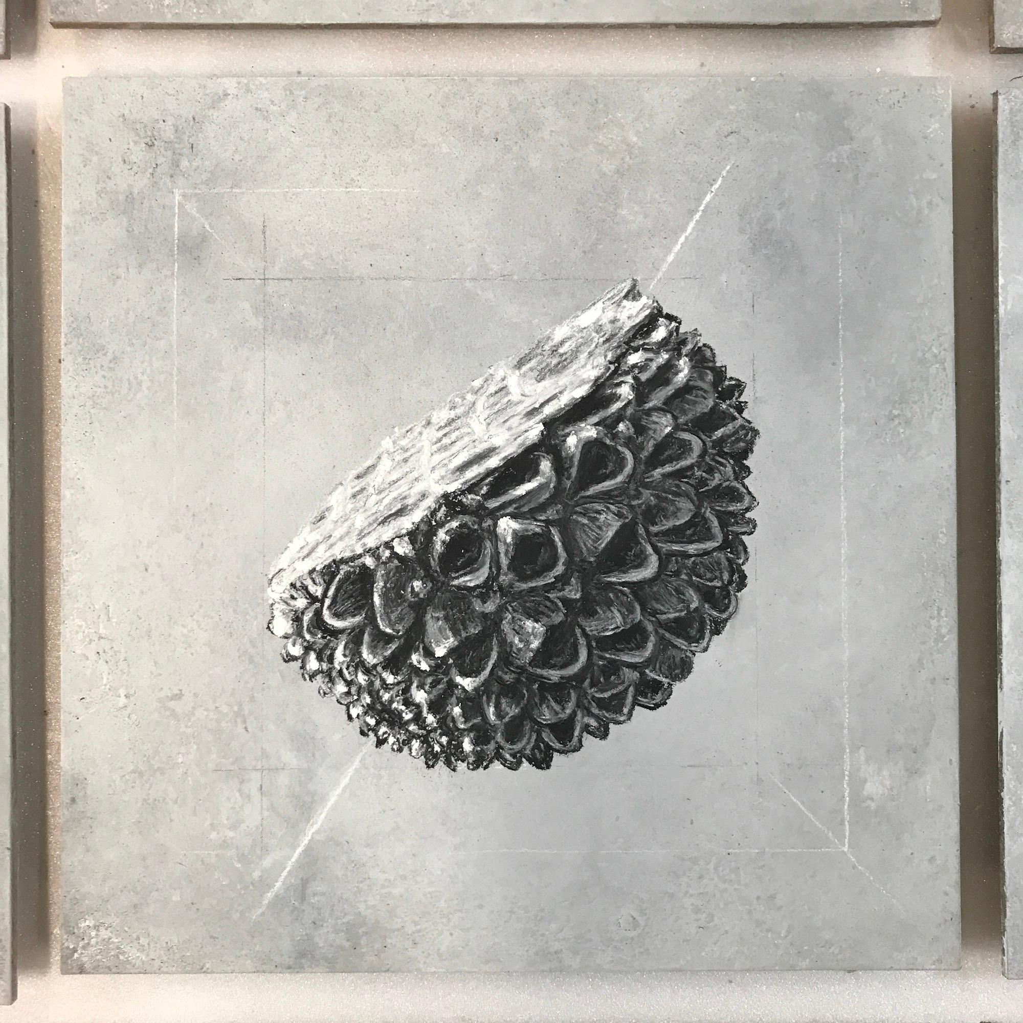 Les phases d'Oliver Ashworth-Martin - dessin au pastel, nature, plante, enquête en vente 3
