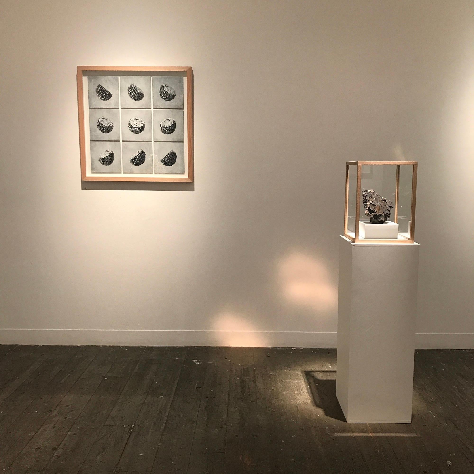 Les phases d'Oliver Ashworth-Martin - dessin au pastel, nature, plante, enquête en vente 4
