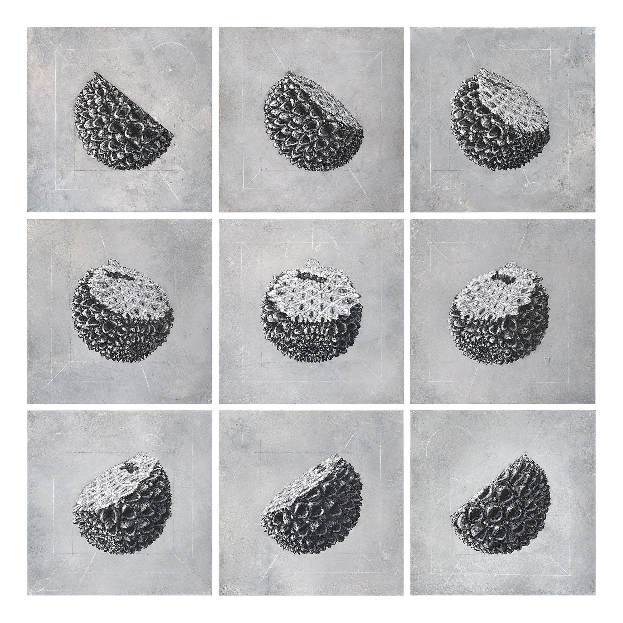 Phases est un dessin unique au pastel et au carton d'archivage du sculpteur anglais contemporain Oliver Ashworth-Martin. Les dimensions, y compris le cadre en chêne, sont de 75 × 75 cm (29,5 × 29,5 in).
Ce dessin est signé par l'artiste et