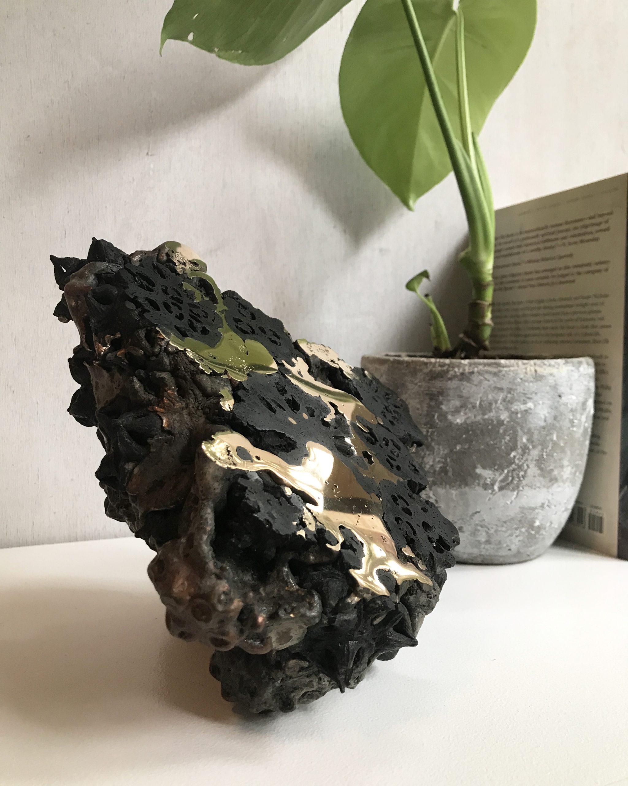 Achondrite - Eucalyptus et bronze par Oliver Ashworth-Martin - Sculpture, nature en vente 9