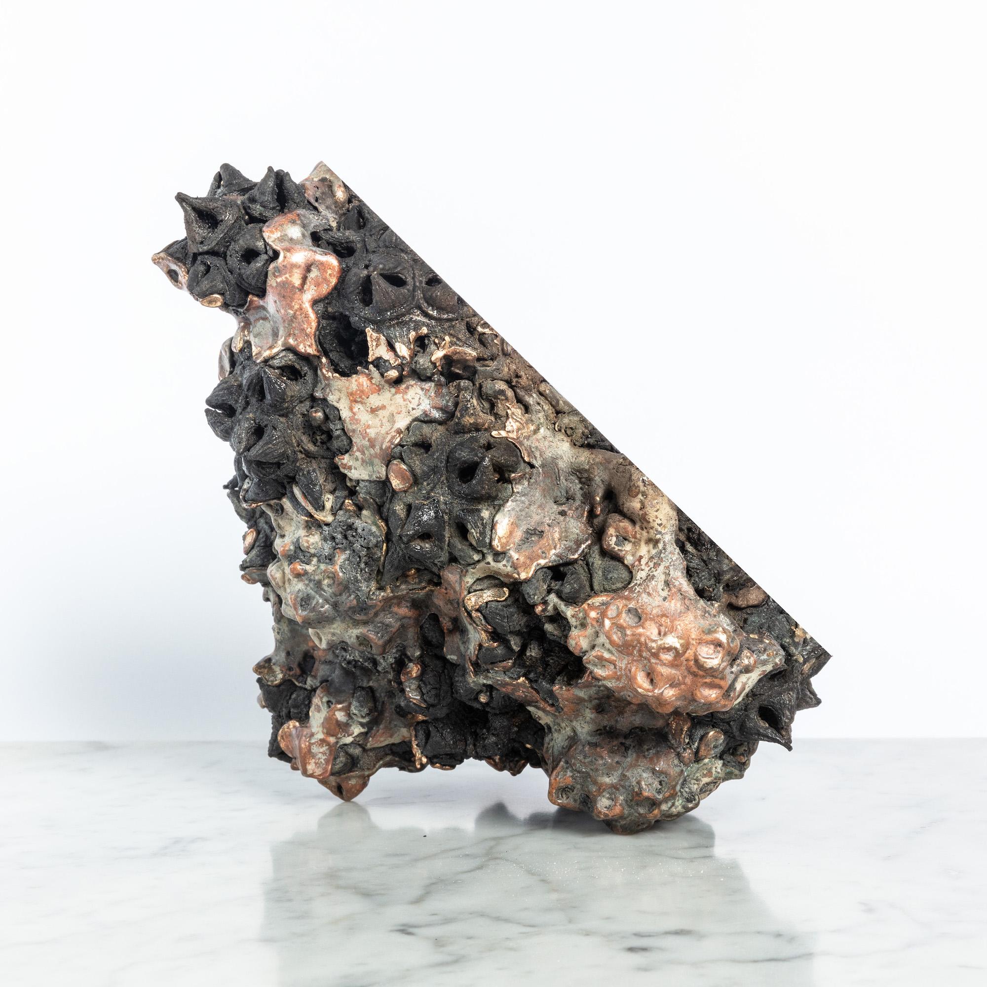 Achondrite - Eucalyptus et bronze par Oliver Ashworth-Martin - Sculpture, nature en vente 1