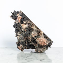 Achondrite – Eucalyptus & Bronze by Oliver Ashworth-Martin - Sculpture, nature