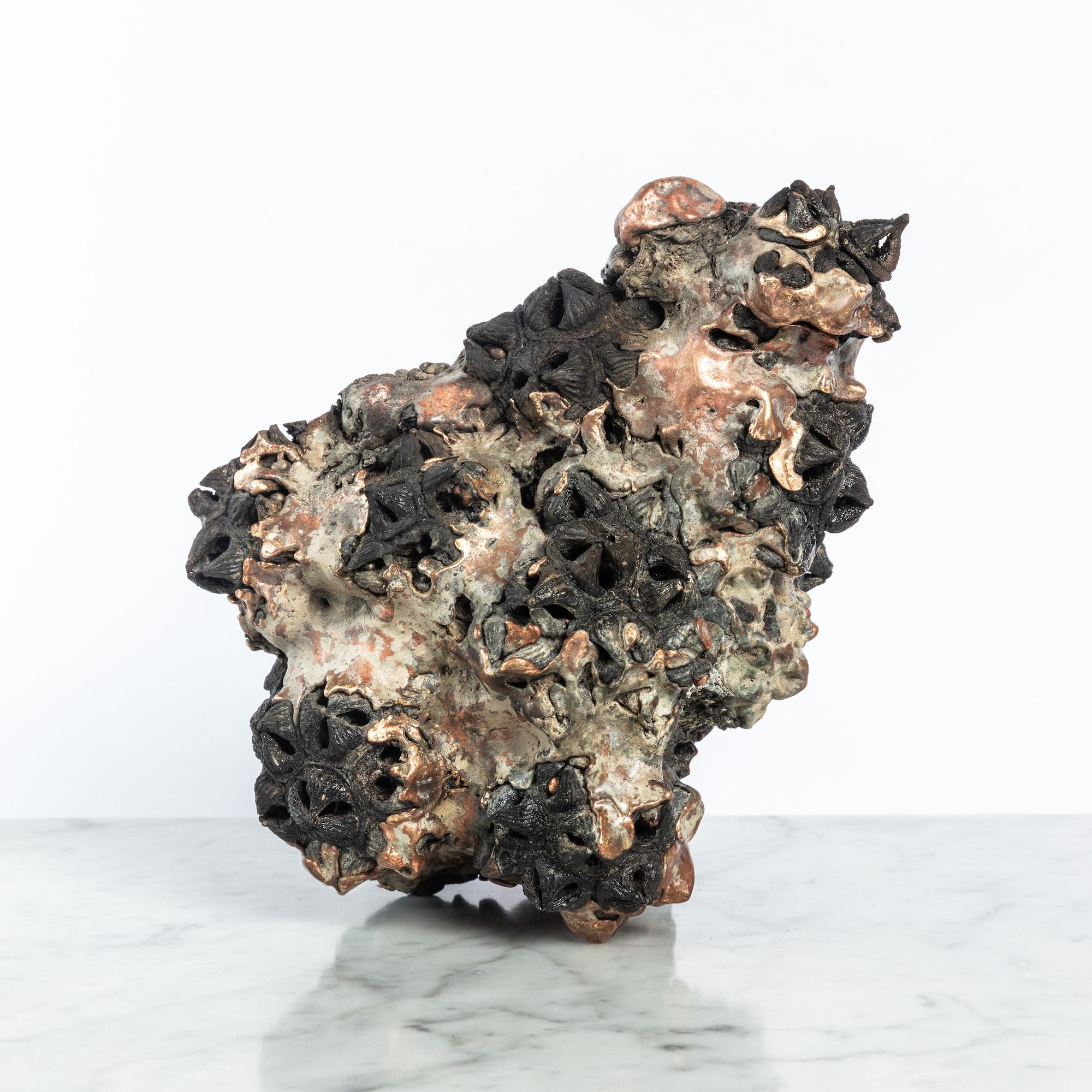 Achondrite - Eucalyptus et bronze par Oliver Ashworth-Martin - Sculpture, nature en vente 2