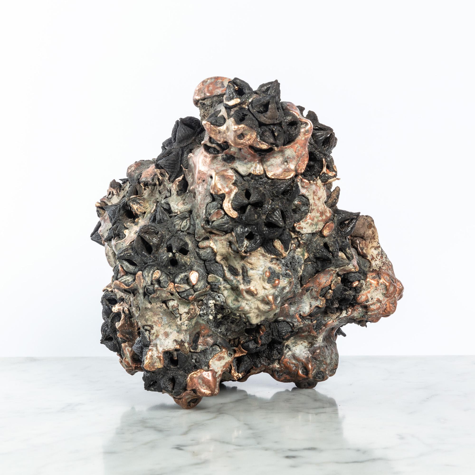 Achondrite - Eucalyptus et bronze par Oliver Ashworth-Martin - Sculpture, nature en vente 3