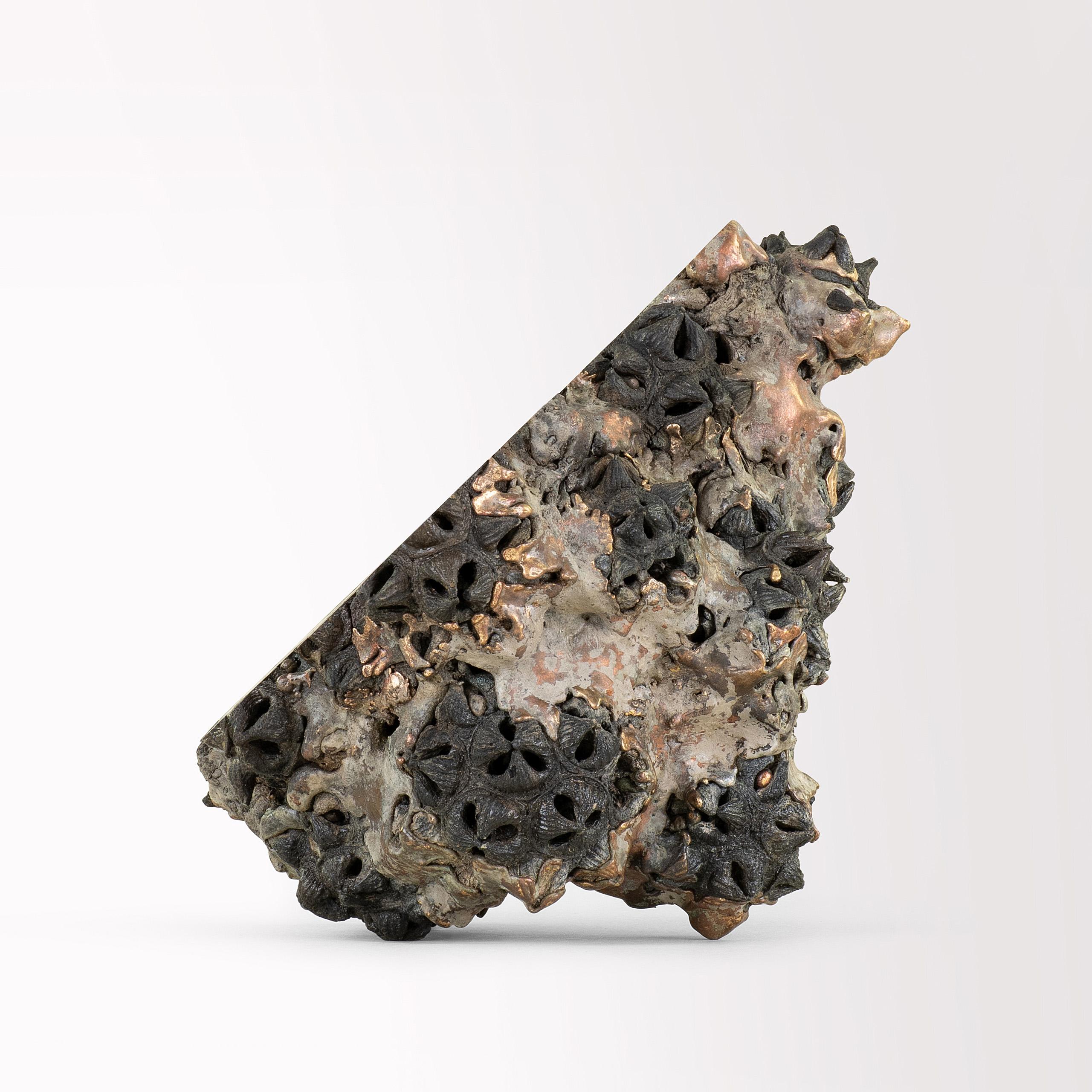Achondrite - Eucalipto e bronzo di Oliver Ashworth-Martin - Scultura, natura 4