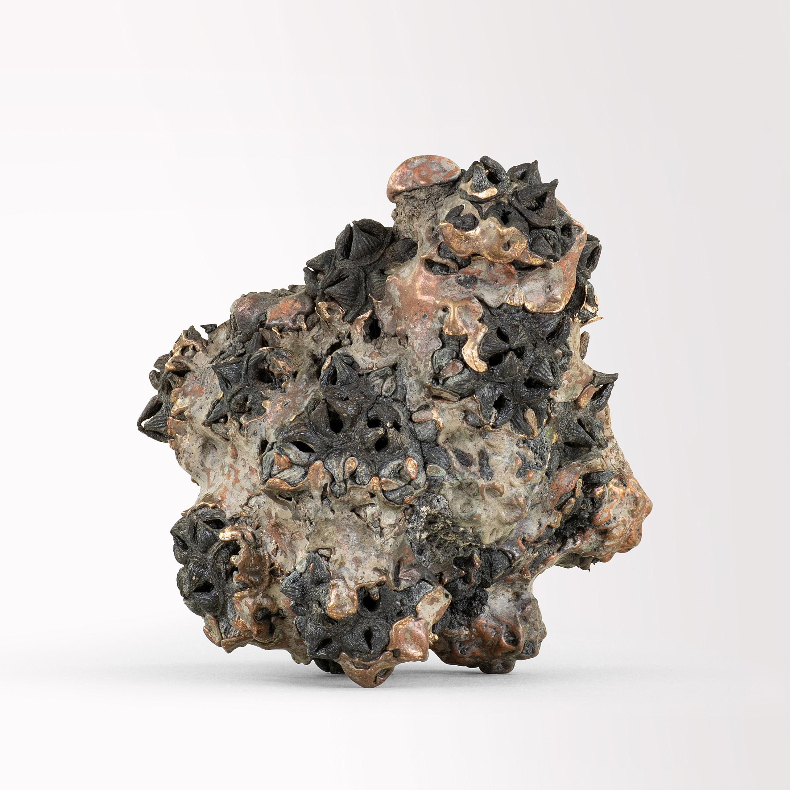 Achondrite - Eucalyptus et bronze par Oliver Ashworth-Martin - Sculpture, nature en vente 5