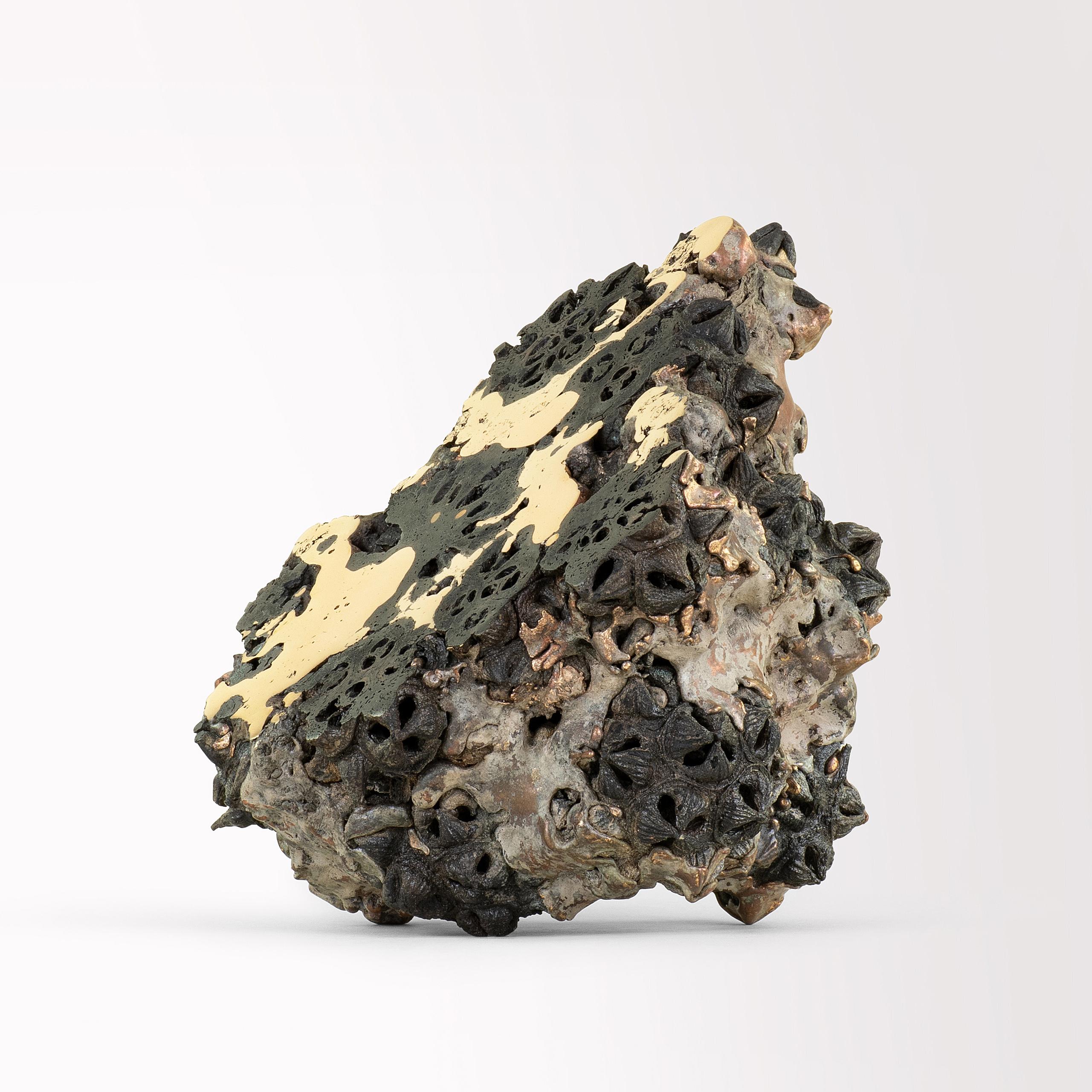 Achondrite - Eucalyptus et bronze par Oliver Ashworth-Martin - Sculpture, nature en vente 6