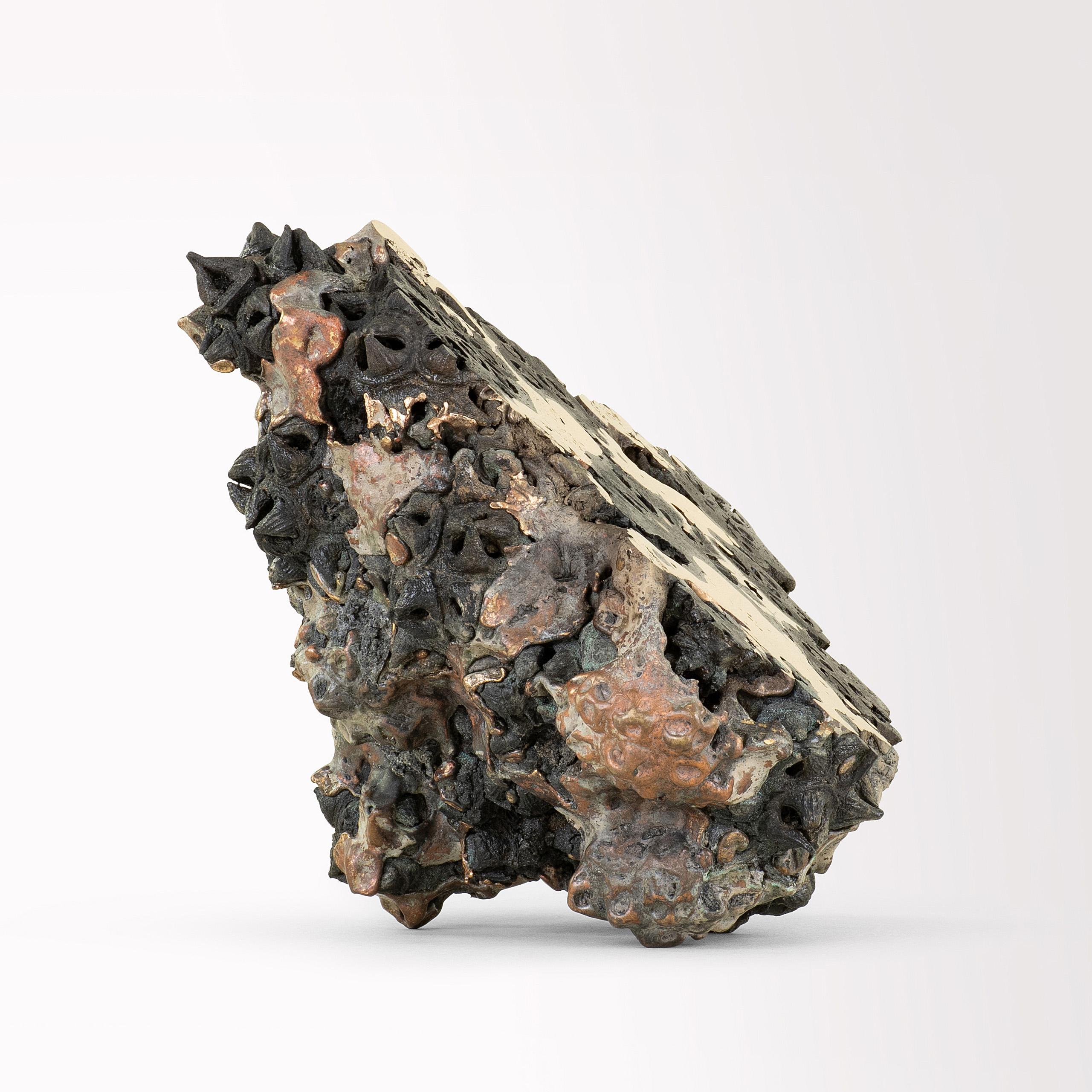 Achondrite - Eucalipto e bronzo di Oliver Ashworth-Martin - Scultura, natura 7