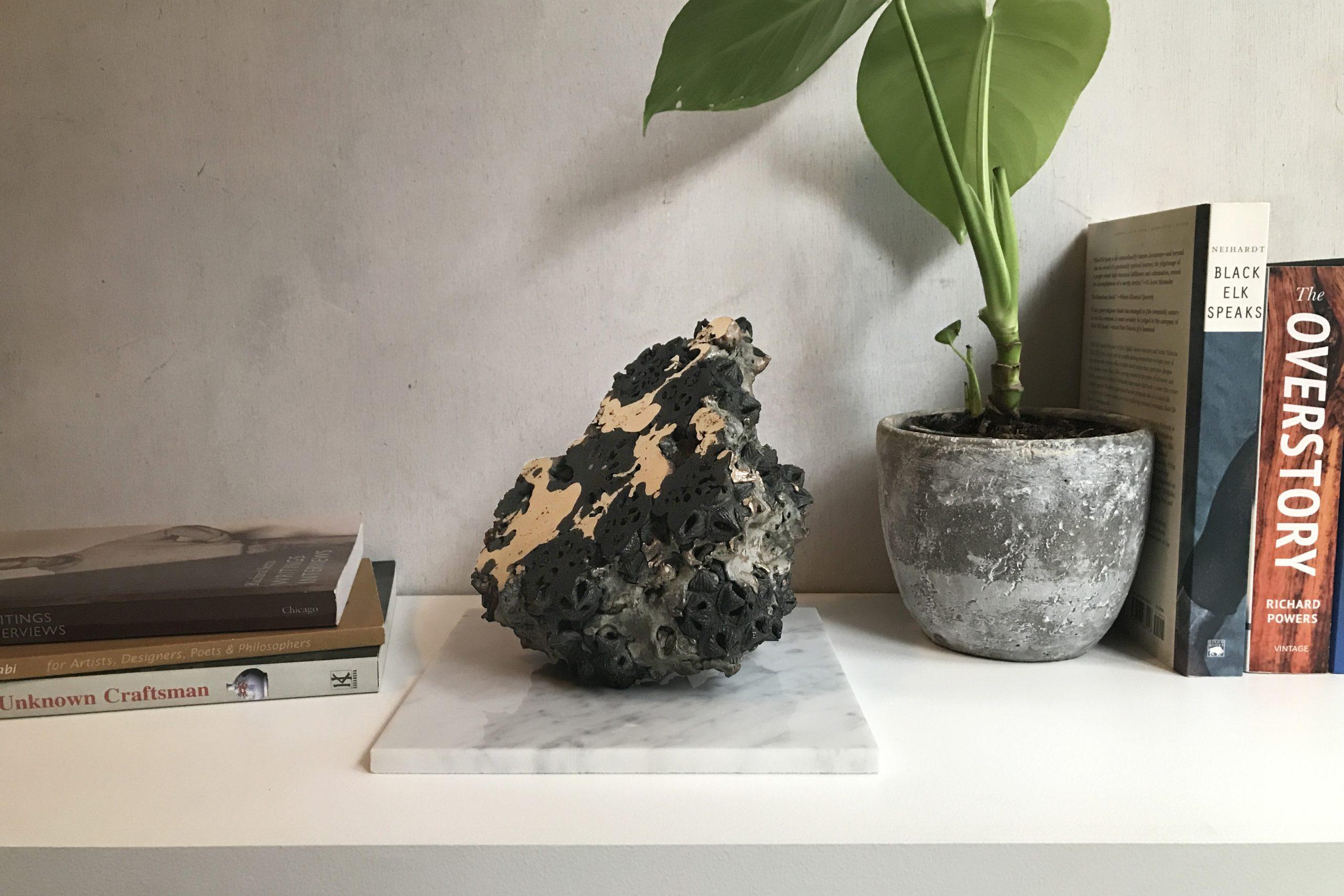 Achondrite - Eucalyptus et bronze par Oliver Ashworth-Martin - Sculpture, nature en vente 8