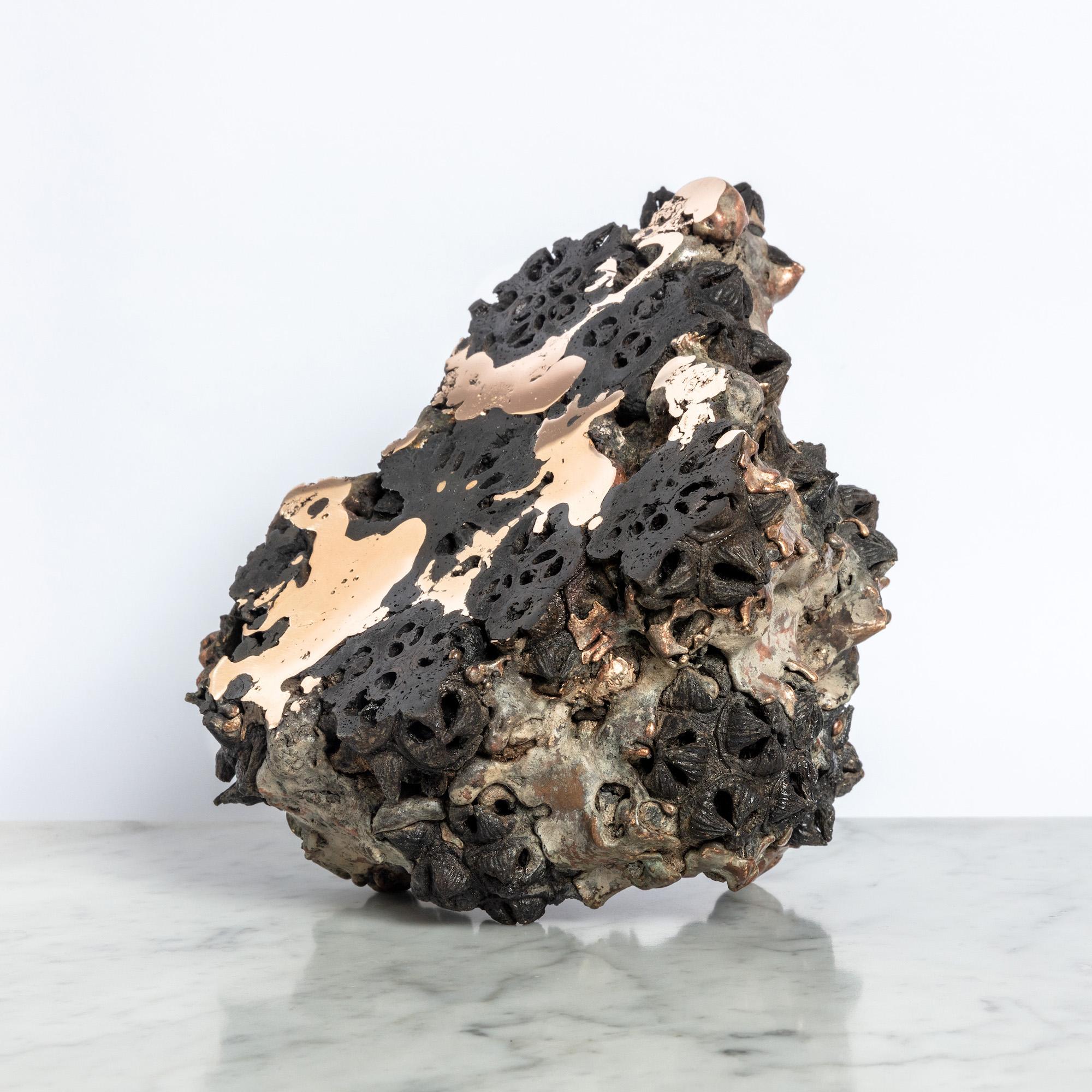 Achondrit - Eukalyptus
Bronze von Oliver Ashworth-Martin - Skulptur, Natur