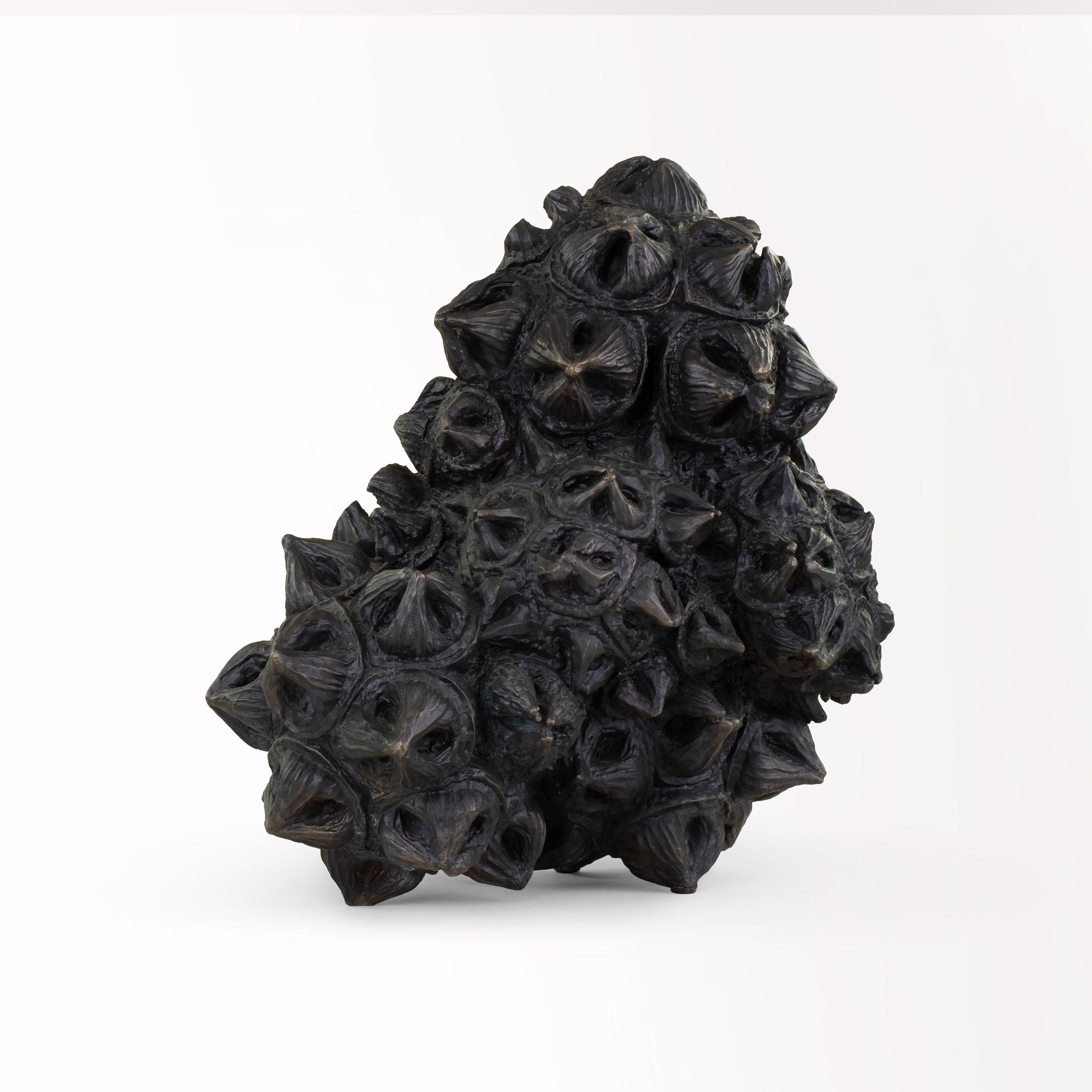 Immortale aumentato - Eucalipto di Oliver Ashworth-Martin - Scultura in bronzo 8