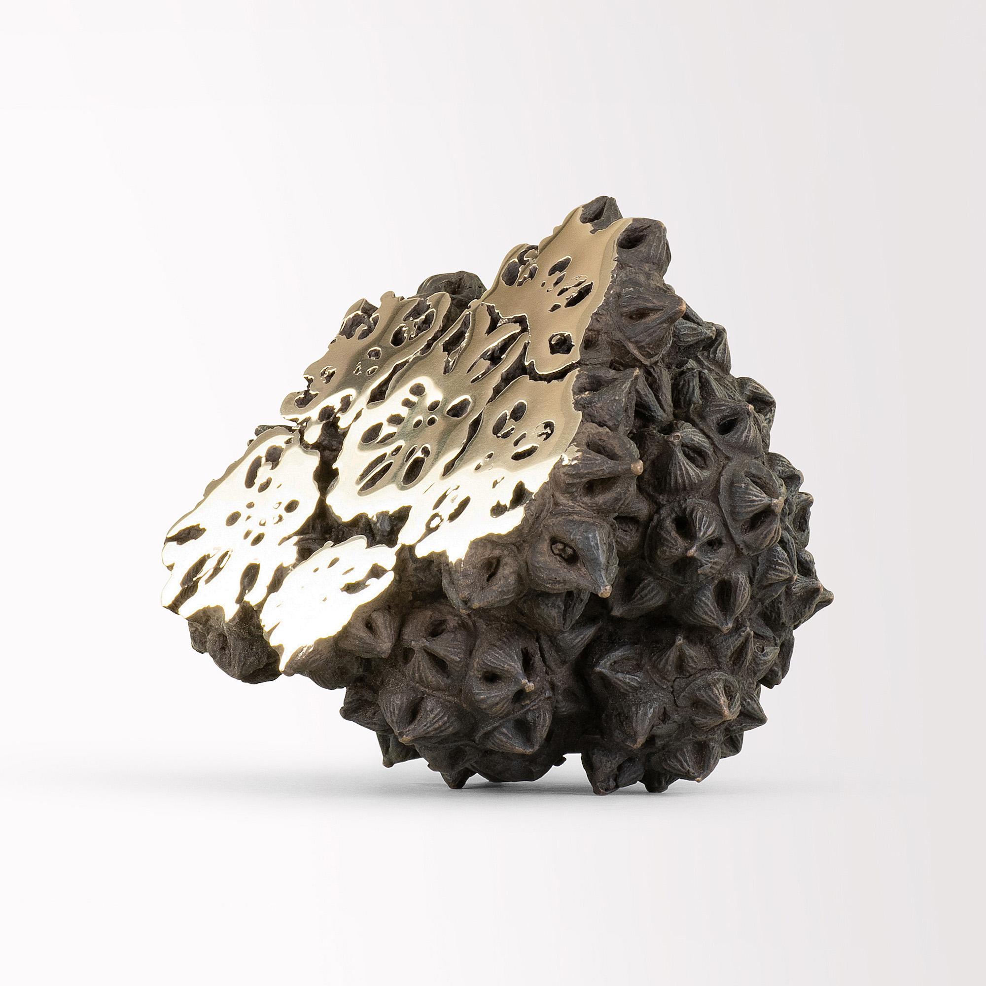 Immortals III von Oliver Ashworth-Martin – Bronzeskulptur „Immortals III“, natürliches Element in Gold im Angebot 1